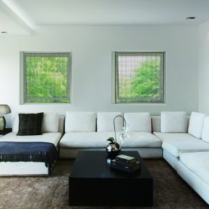 Cửa Lưới Chống Muỗi THƯƠNG HIỆU NHẬT BẢN 2windown 300x300 - Cửa Lưới Chống Muỗi THƯƠNG HIỆU NHẬT BẢN