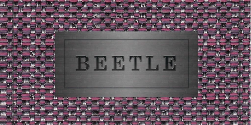 beetle 1