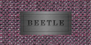 beetle 1